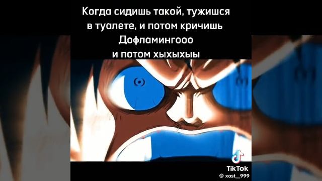 1000001229.mp4