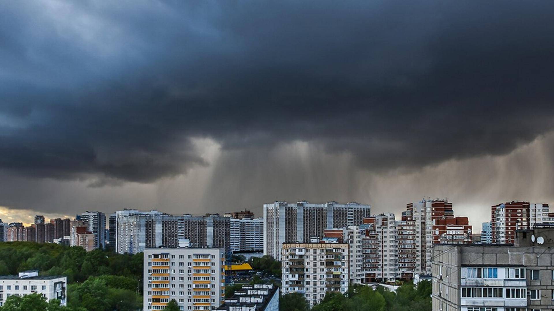 Москвичей предупредили о грозе и сильном ветре в субботу