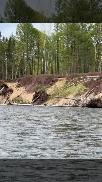 Р. Сукпай, намытые берега