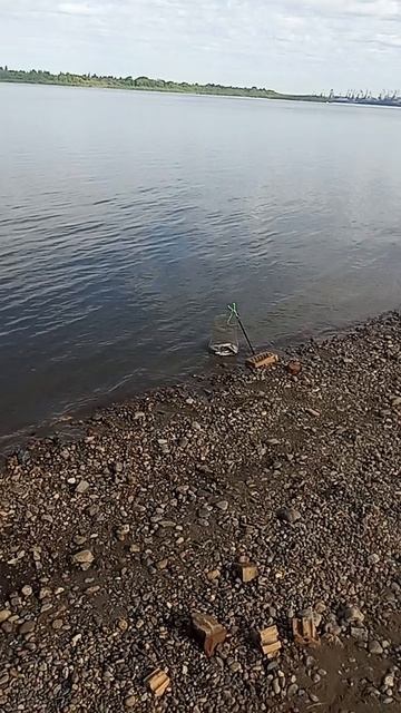 1000048410.mp4