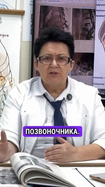 Загадки костной ткани- от искривления позвоночника до остеопороза у детей