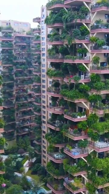 🌳 Каменные джунгли, теперь официально

Зеленые небоскребы в китайском городе Ченду.