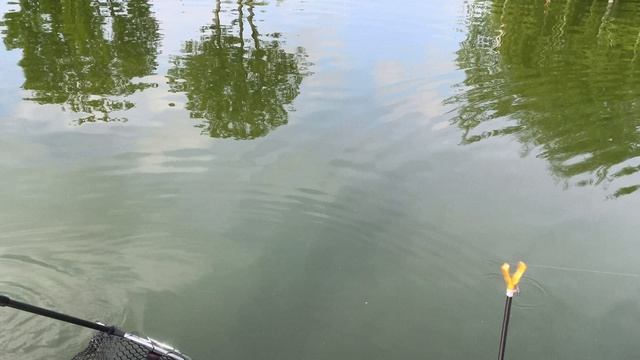 1000004083.mp4