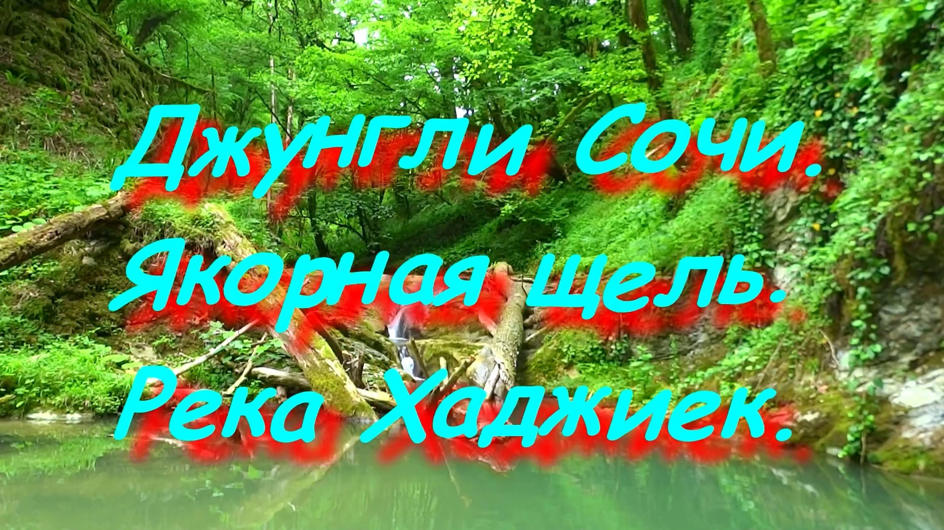 Джунгли Сочи  Якорная щель. Верховья реки Хаджиек.