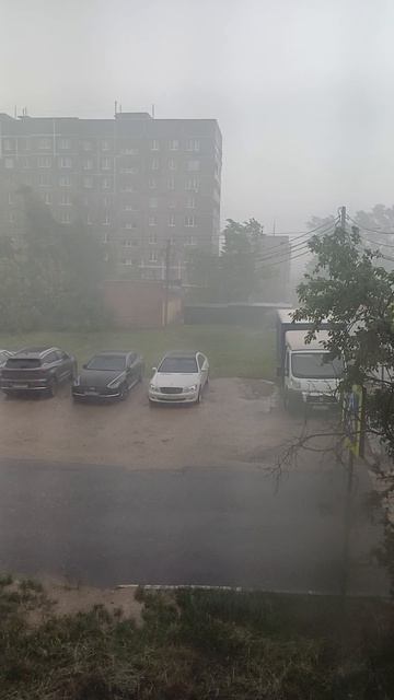 Подмосковье. Суббота.14 часов.