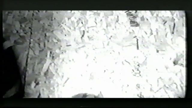 One Minute Silence - Stuck Between a Rock and a White Face (VHS) MTV