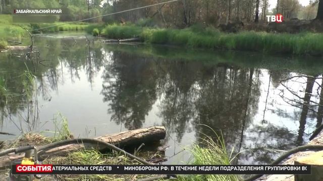 ТВ Центр, 7 июня 2025 Почти 800 тысяч гектаров леса горит в 14 российских регионах