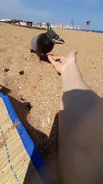 20250604_153543.mp4