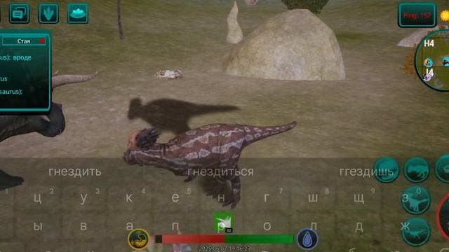 2290.mp4