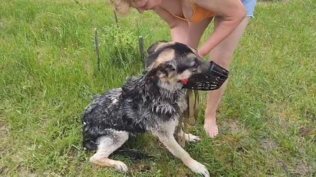 Рэм