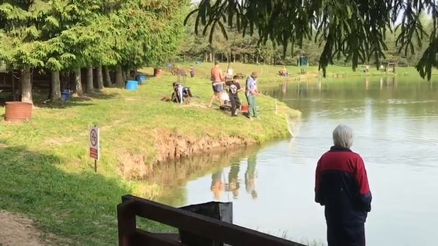 утренние поимки на большом водоёме