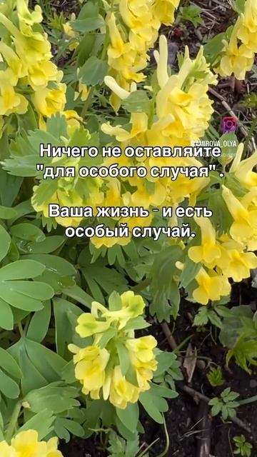 Здесь и сейчас