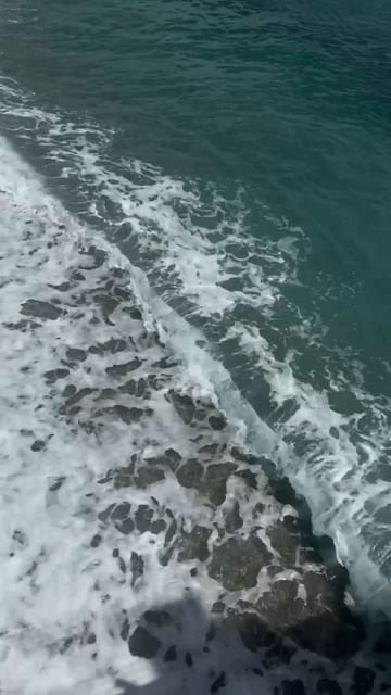 черное море