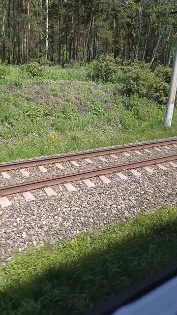 1000022342.mp4
Вид из окна #