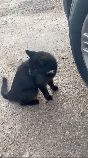 На удачу 😜