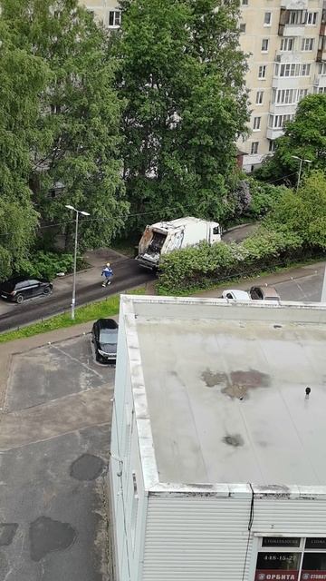 мусорщик или джентльмен?