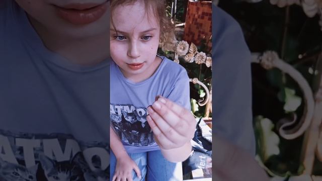Вызывание бубл