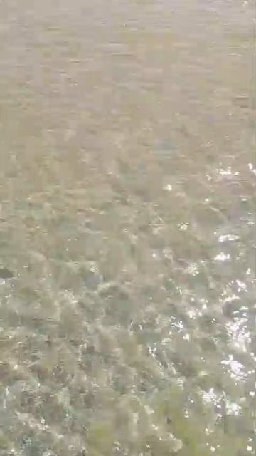 Купание запрещено, но ножки мочим.😅👍