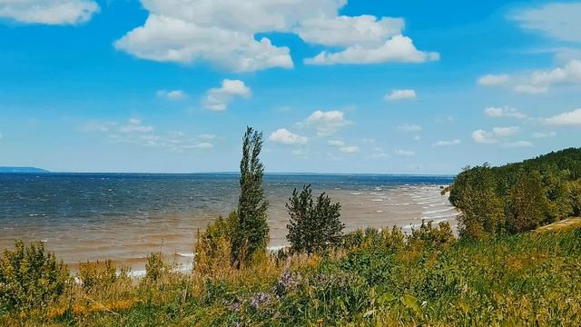 #1 видео.mp4
