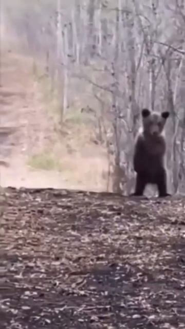 Когда очень хорошо