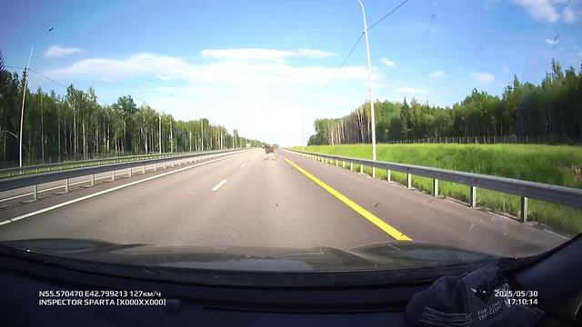 Трасса М12 встреча с лосем