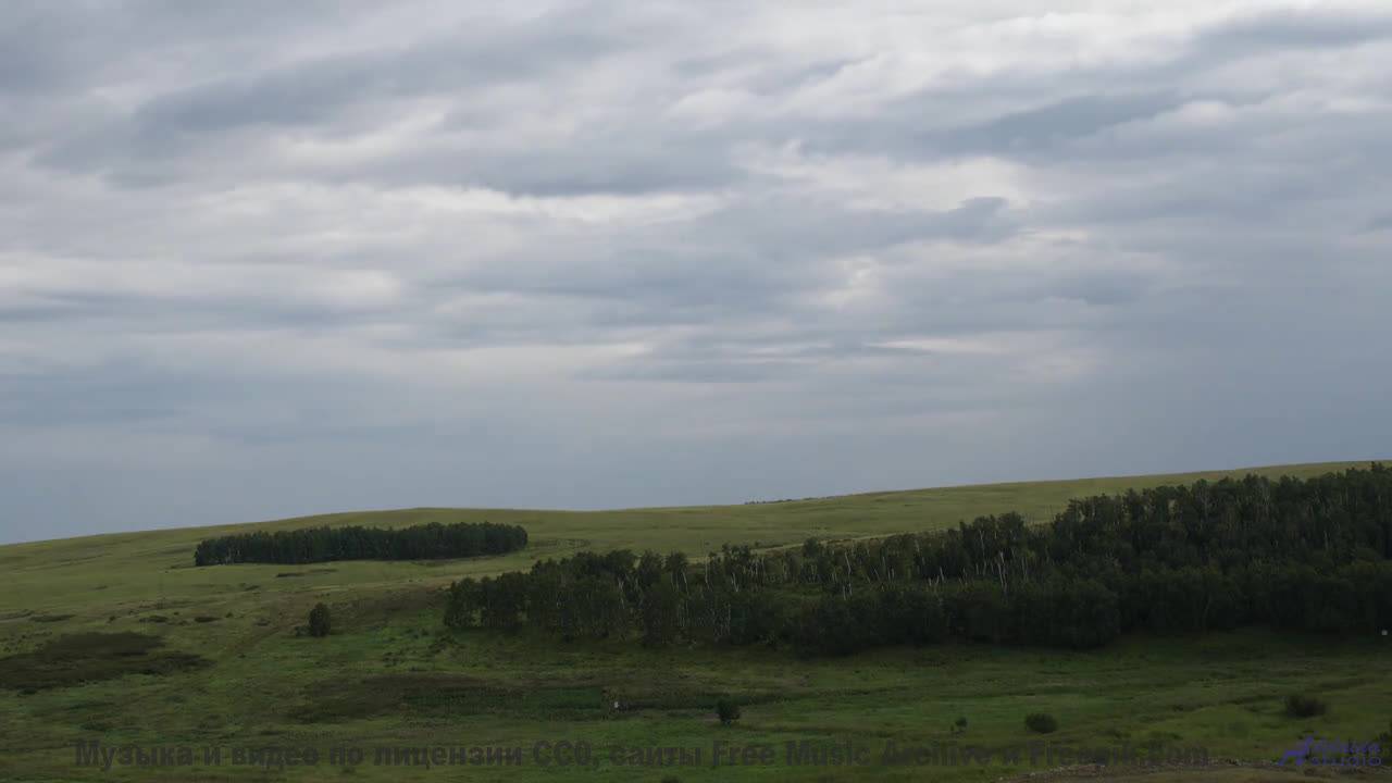 Бескрайние степи и бесконечный вайб! - The Virus-Production of Modern Consciousness (Through Animati