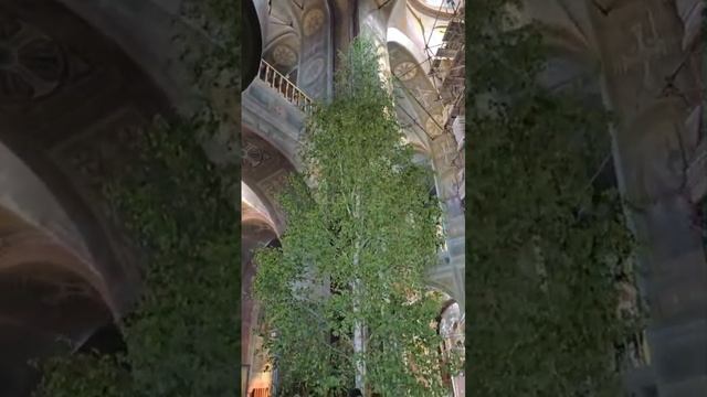 1000109683.mp4