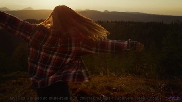 Поля и мелодия проникают под кожу мгновенно - Light At The End Of The Tunnel -- HoliznaCC0 -- Forage