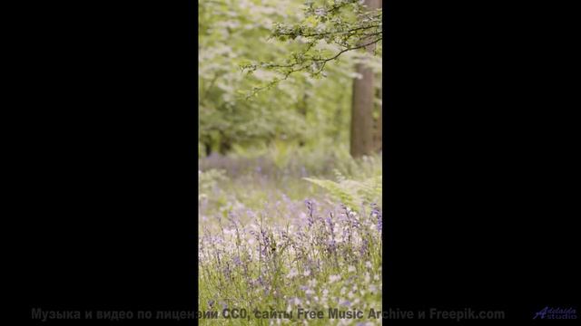Эта музыка настолько красива, что хочется плакать - dans mon jardin -- Jean Toba -- huit moments ave
