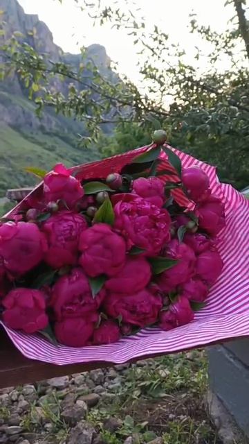 Прекрасные букеты из пионов