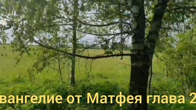 Библия Евангелие от Матфея глава 23