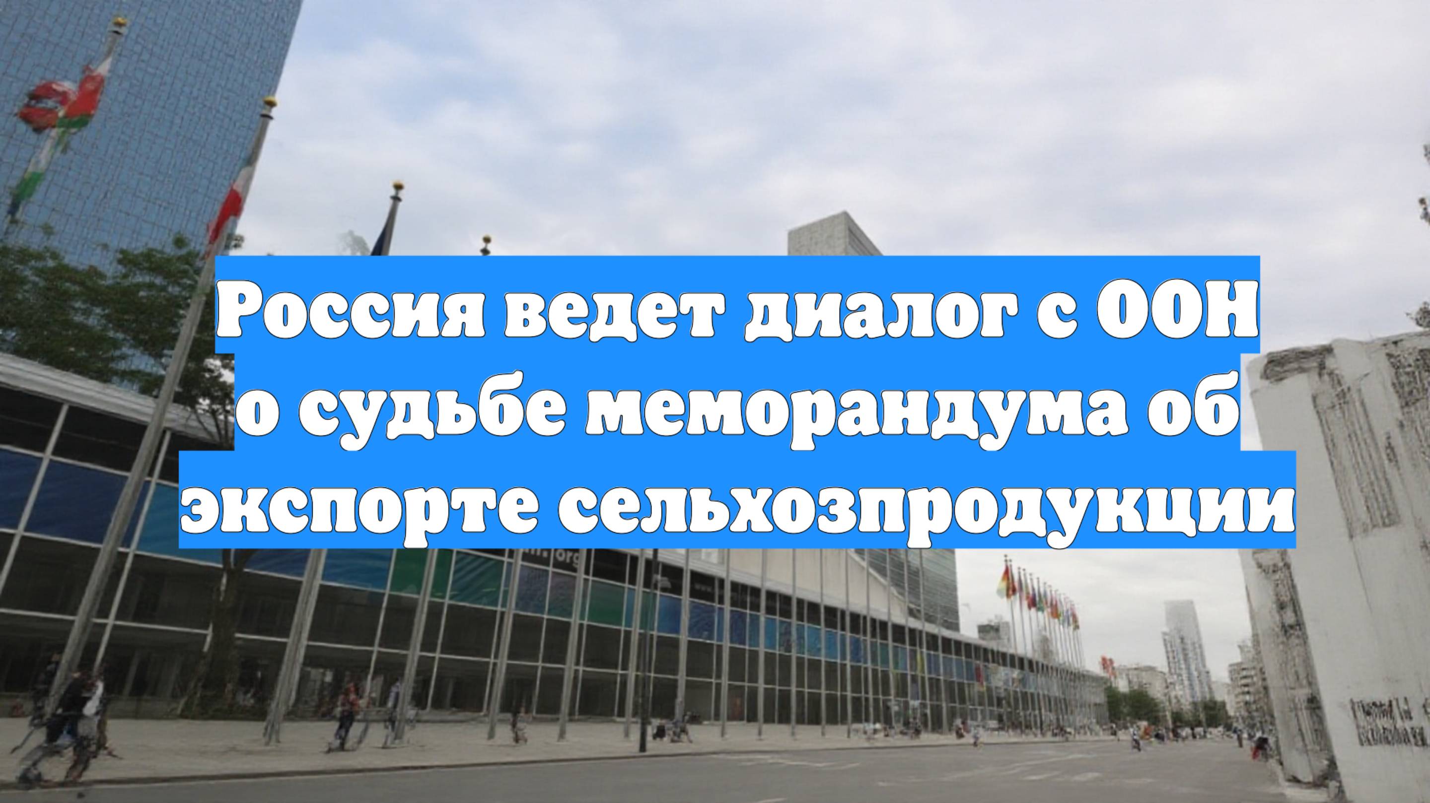 Россия ведет диалог с ООН о судьбе меморандума об экспорте сельхозпродукции