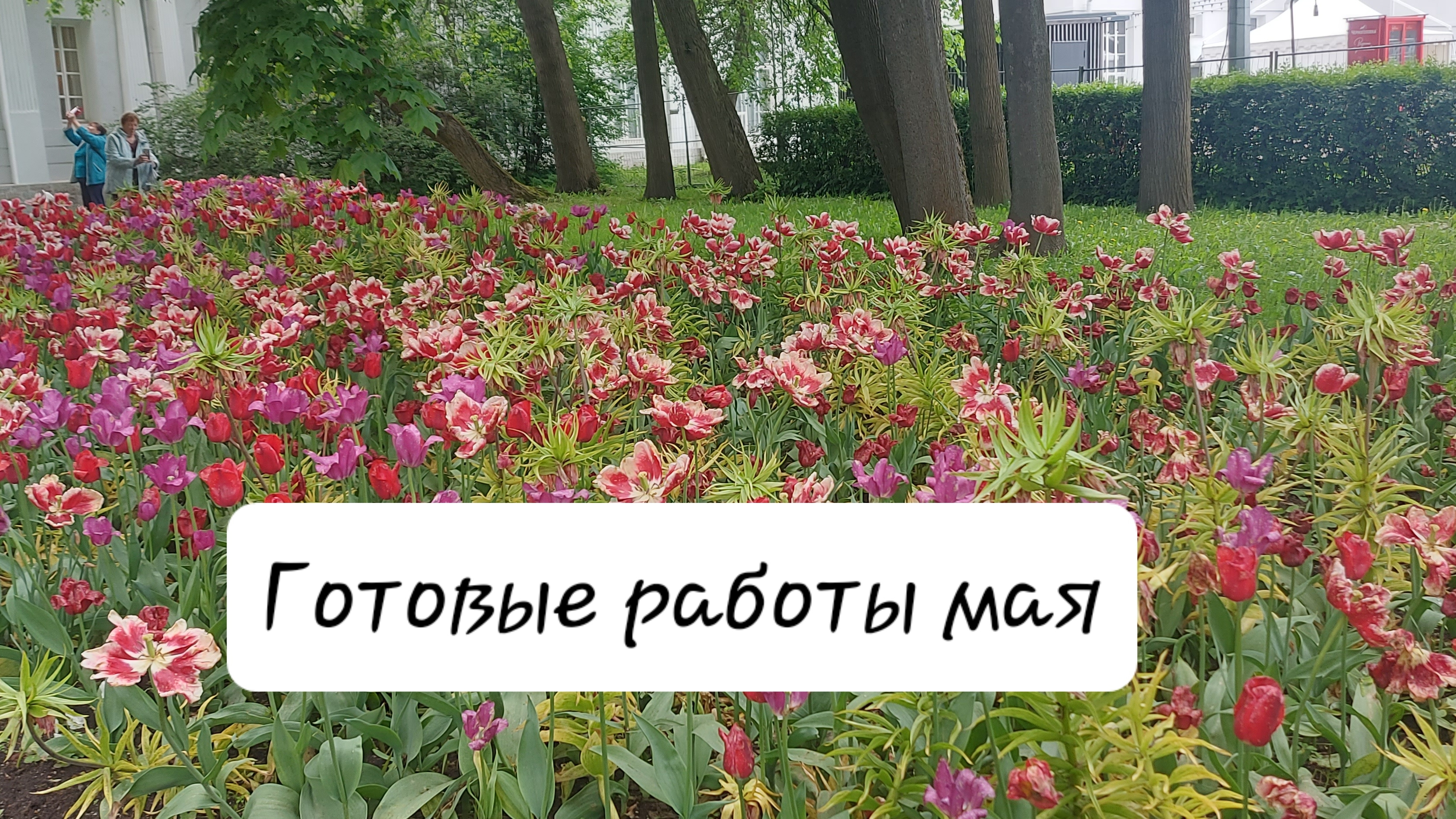 Готовые работы мая