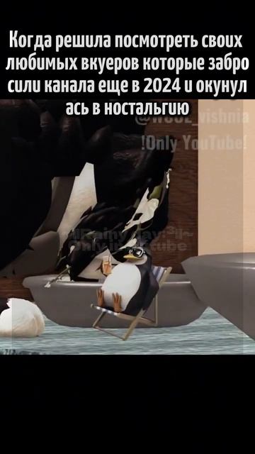 Жаль что такое лучшее время не вернуть.|#Wcue #WarriorsCats