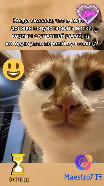 💻 Какой-то новый супер-кофе ☕