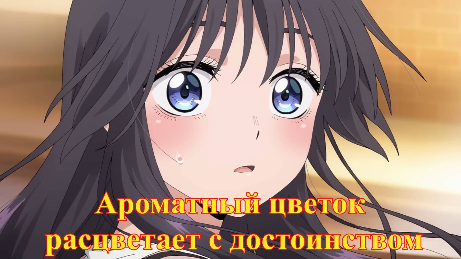 Ароматный цветок расцветает с достоинством, тизер｜ 5 июня 2025 г.