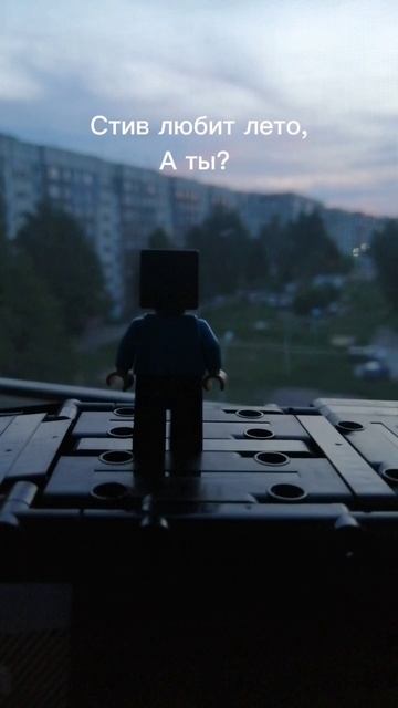 Лето, лего, Стив