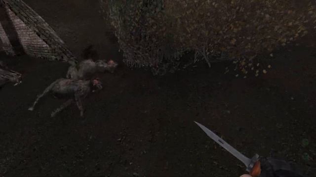 S.T.A.L.K.E.R. NLC 7 build 3.9.1 на МАКСИМАЛЬНОЙ СЛОЖНОСТИ #10 ► Боло?