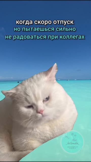 😅