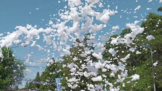 1000012250.mp4