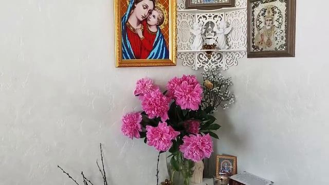 Опять все спасаю. Как вырастить сад на болоте. Готовлю