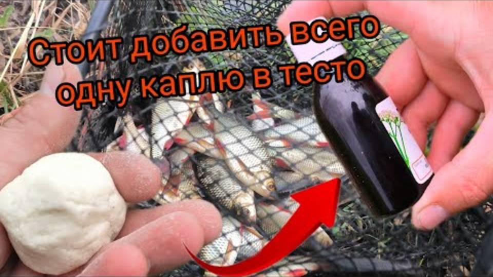 ВСЕГО ОДНА КАПЛЯ ЗАСТАВЛЯЕТ ВСЕ РЫБУ КЛЕВАТЬ
