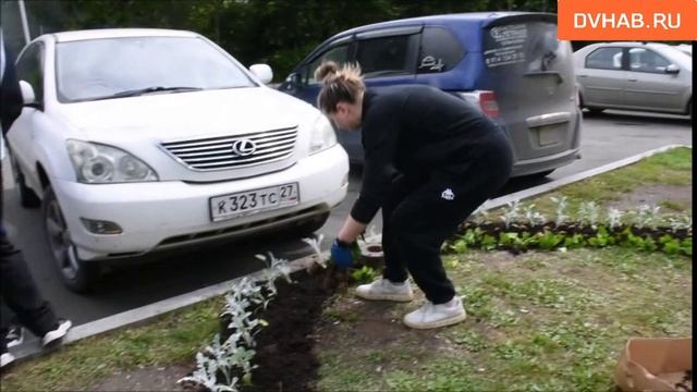 Несколько сотен цветов высадили жители Комсомольска на фестивале