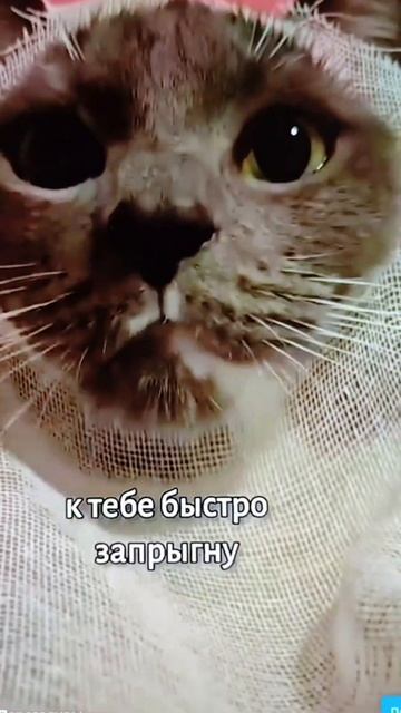 у всех сны нормальные: У МЕНЯ