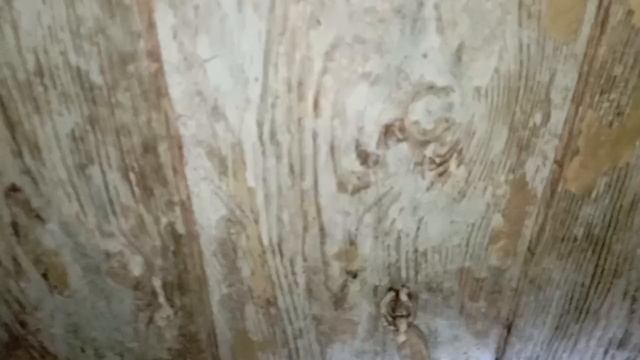 В ЗАБРОШКЕ НОЧЬЮ.