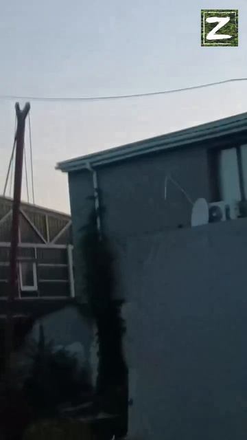 сво