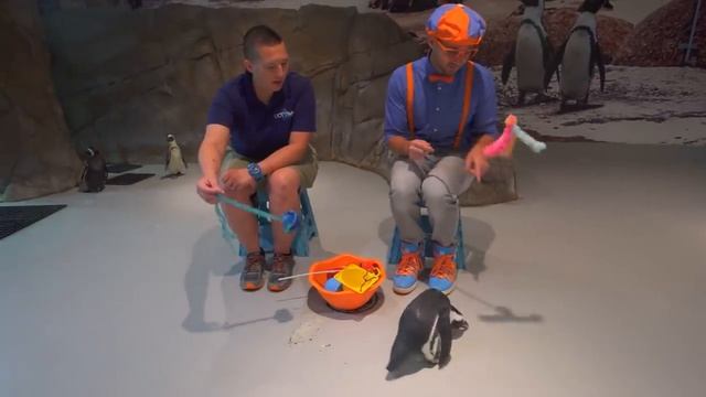Блиппи (Blippi) - Блиппи изучает животных!   Блиппи на Русском   Изучай этот Мир вместе с Блиппи   B