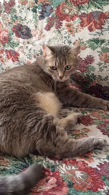 Сто разных мыслей от ката Маркиза.№1