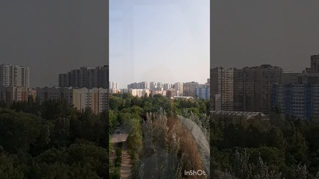 Антонина 🍬 
Прогулка по  парку аттракционов. Угостили белочек клубникой.