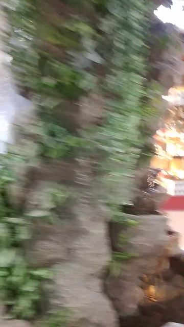 VID_20250606_145330.mp4